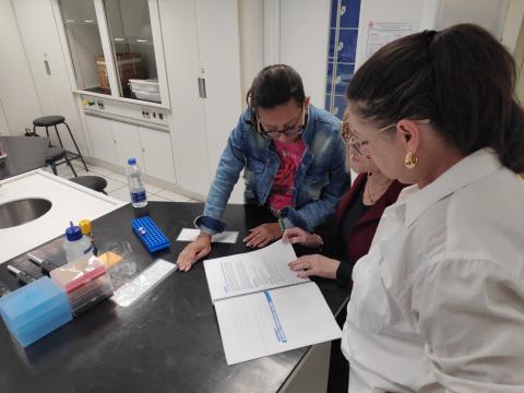 Professores explorando o material da ABE