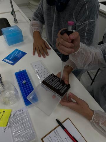 Estudante carregando uma ponteira na micropipeta