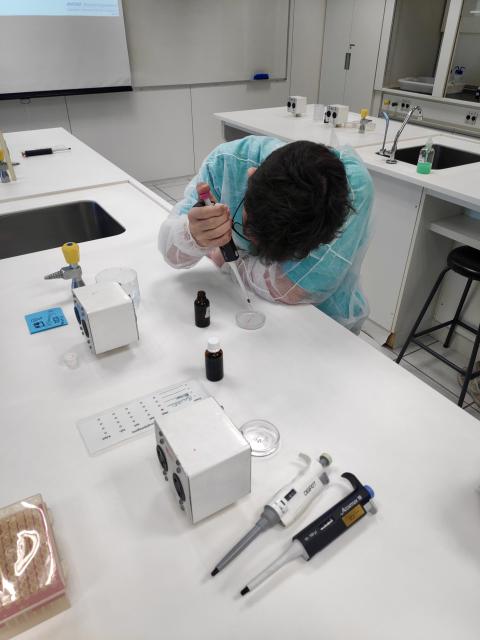 Student practicing loading samples onto an agarose gel.