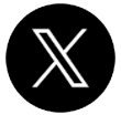 x icon