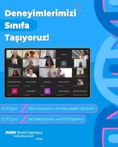 17eylul