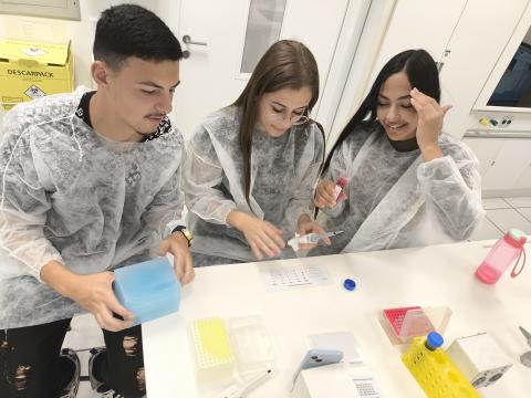 Estudantes visualizando microvolumes