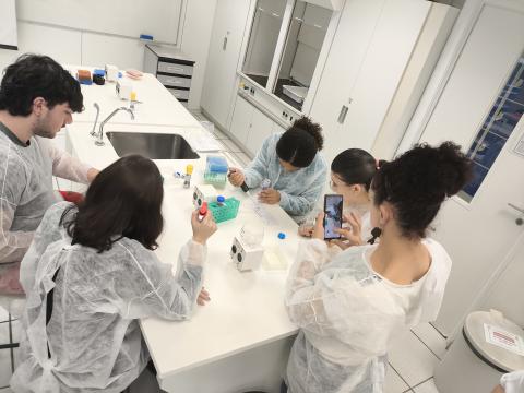 Estudantes visualizando microvolumes