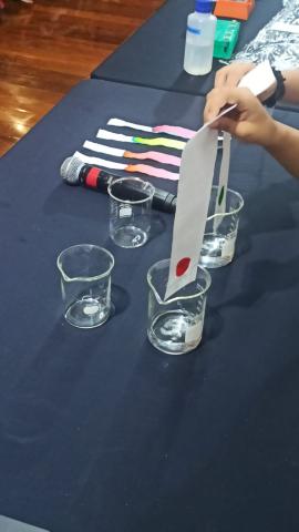 Cromatografia em papel conduzida pelas crianças em nossa oficina