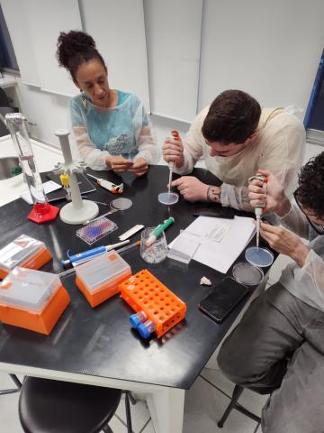 Professores treinando suas habilidades de pipetagem