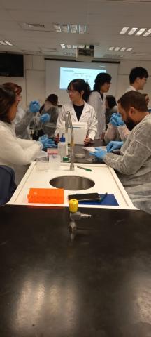 Professores plaqueando suas bactérias