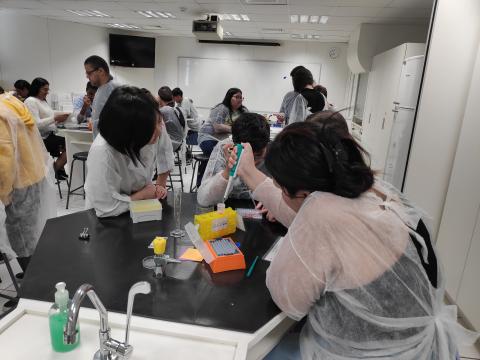 Students learning to use the micropipette