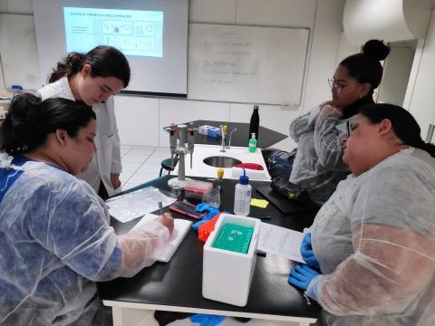 Professores aprendendo sobre transformação de bactérias