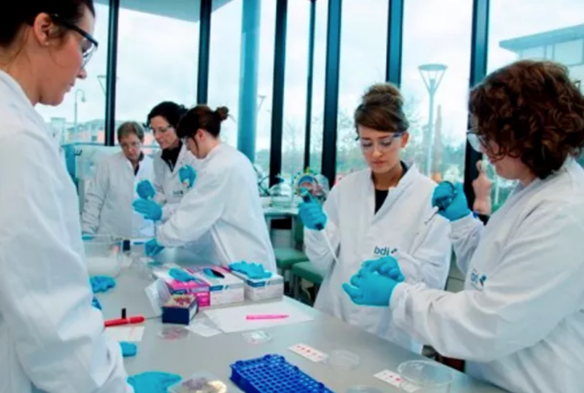 Teachers at training workshop