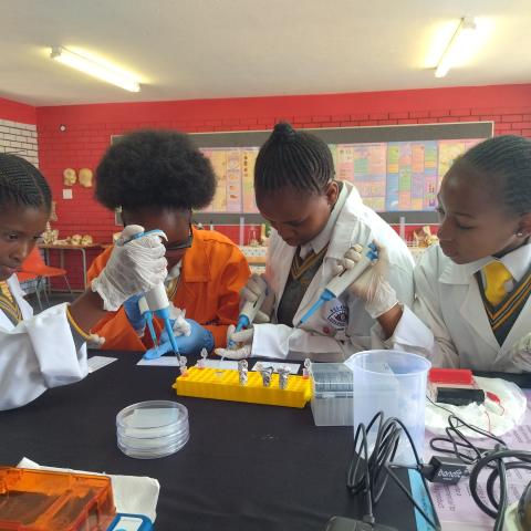 Mpilisweni School of Specialisation students micropipetting